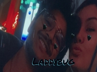 Laddybug