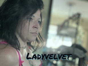 Ladyvelvet