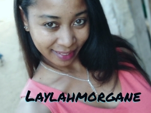 Laylahmorgane