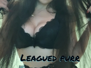 Leagued_purr