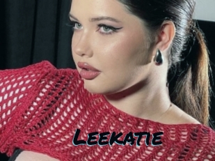 leekatie Sexties