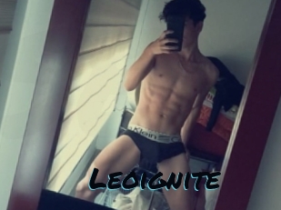 Leoignite