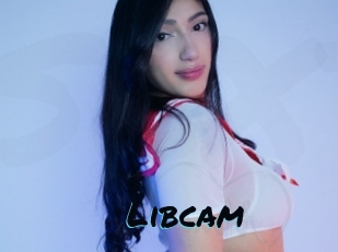 Libcam