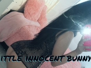 Little_innocent_bunny