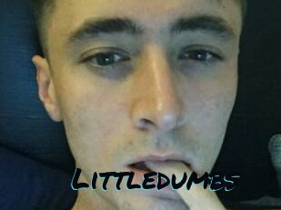 Littledumbs