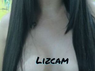 Lizcam