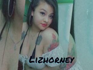 Lizhorney