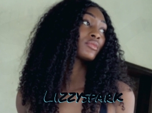 Lizzyspark