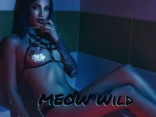 MEOW_Wild