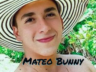 Mateo_Bunny