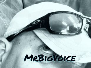 MrBigVoice