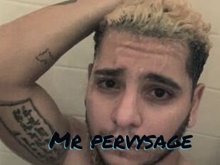 Mr_pervysage