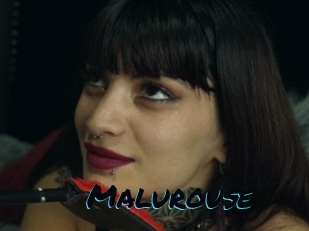 Malurouse