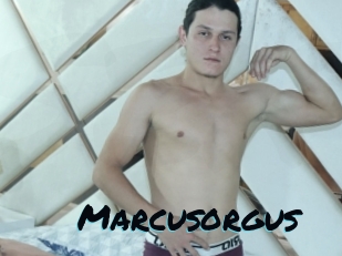 Marcusorgus