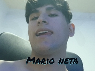 Mario_neta