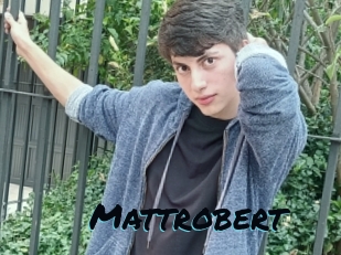 Mattrobert