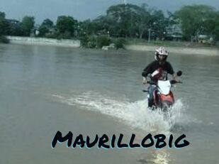 Maurillobig