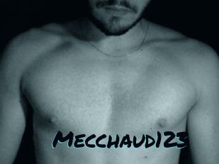 Mecchaud123