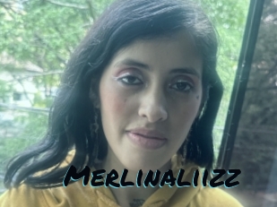 Merlinaliizz