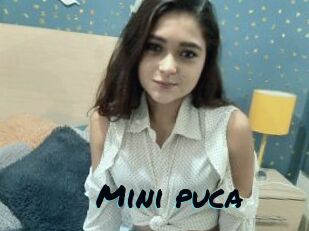 Mini_puca