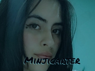 Minjicarter