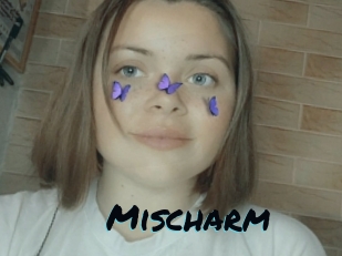 Mischarm