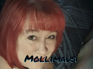 Mollimausi