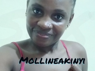 Mollineakinyi