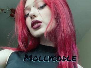 Mollycodle