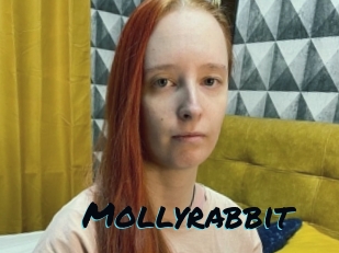 Mollyrabbit