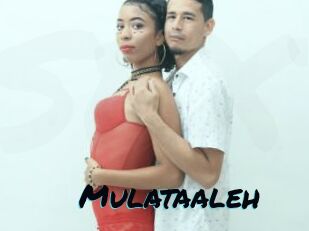 Mulataaleh