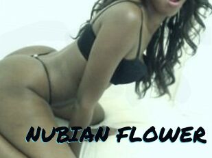 NUBIAN_FLOWER