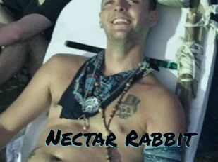 Nectar_Rabbit