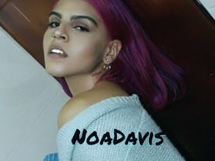 NoaDavis