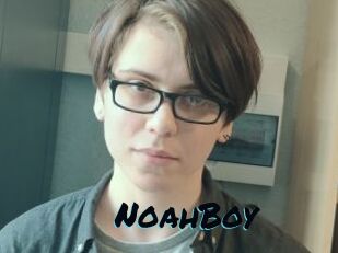 NoahBoy