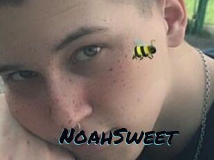 NoahSweet