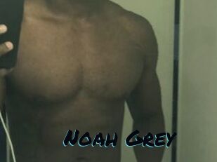 Noah_Grey