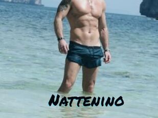 Nattenino