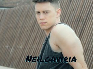 Neilgaviria