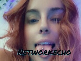 Networkecho