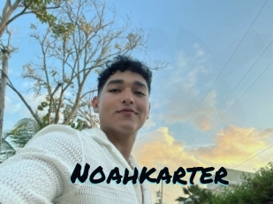 Noahkarter