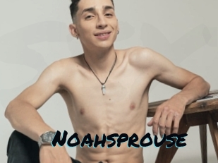 Noahsprouse