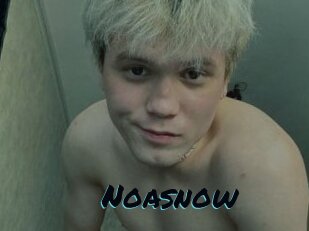 Noasnow