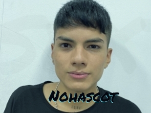 Nohascot