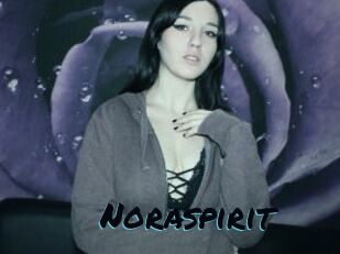 Noraspirit