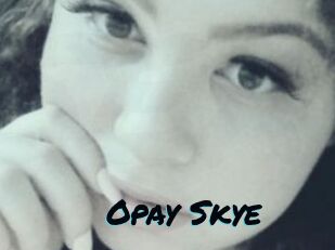 Opay_Skye