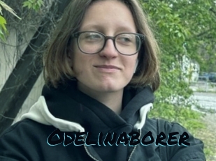 Odelinaborer