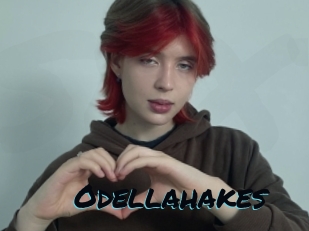 Odellahakes