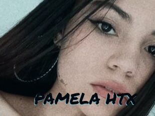 PAMELA_HTX