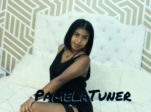 PamelaTuner